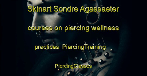 Skinart Sondre Agassaeter courses on piercing wellness practices | #PiercingTraining #PiercingClasses #SkinartTraining-Norway