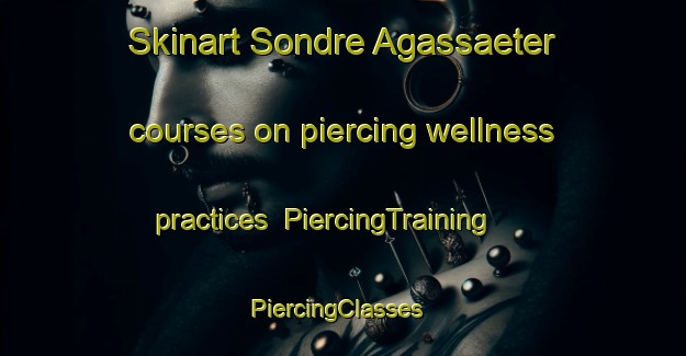 Skinart Sondre Agassaeter courses on piercing wellness practices | PiercingTraining | PiercingClasses | SkinartTraining-Norway