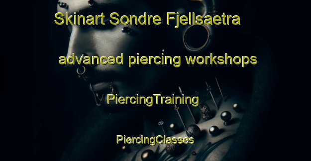 Skinart Sondre Fjellsaetra advanced piercing workshops | #PiercingTraining #PiercingClasses #SkinartTraining-Norway