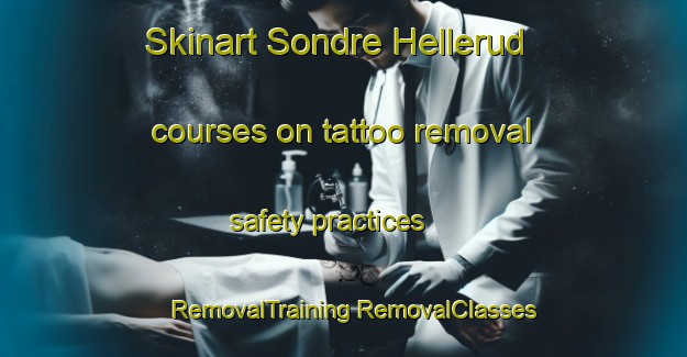 Skinart Sondre Hellerud courses on tattoo removal safety practices | #RemovalTraining #RemovalClasses #SkinartTraining-Norway