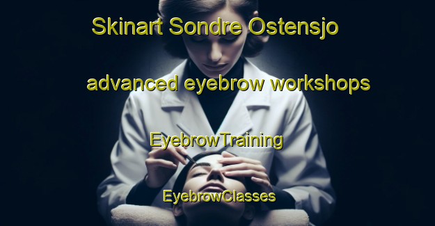 Skinart Sondre Ostensjo advanced eyebrow workshops | EyebrowTraining | EyebrowClasses | SkinartTraining-Norway