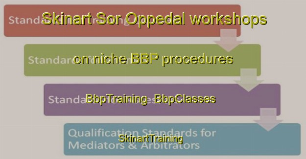 Skinart Sor Oppedal workshops on niche BBP procedures | BbpTraining | BbpClasses | SkinartTraining-Norway