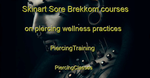 Skinart Sore Brekkom courses on piercing wellness practices | PiercingTraining | PiercingClasses | SkinartTraining-Norway