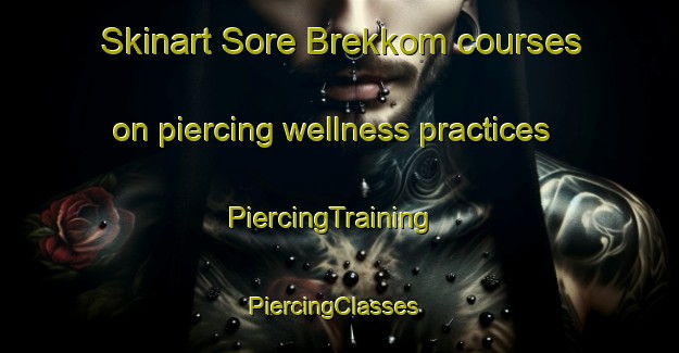 Skinart Sore Brekkom courses on piercing wellness practices | PiercingTraining | PiercingClasses | SkinartTraining-Norway