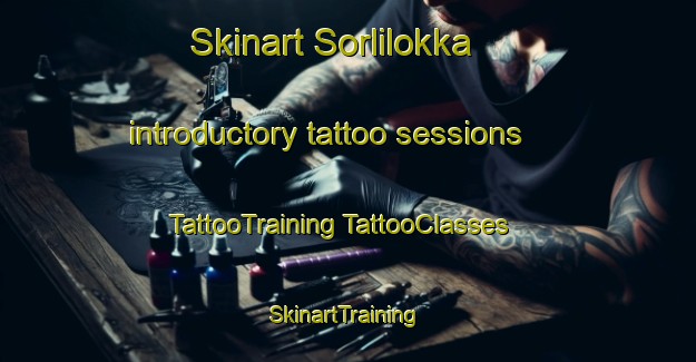 Skinart Sorlilokka introductory tattoo sessions | #TattooTraining #TattooClasses #SkinartTraining-Norway