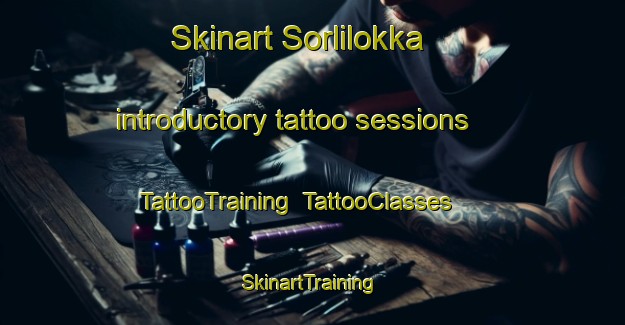 Skinart Sorlilokka introductory tattoo sessions | TattooTraining | TattooClasses | SkinartTraining-Norway