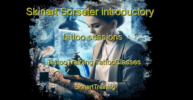 Skinart Sorseter introductory tattoo sessions | #TattooTraining #TattooClasses #SkinartTraining-Norway