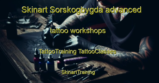 Skinart Sorskogbygda advanced tattoo workshops | #TattooTraining #TattooClasses #SkinartTraining-Norway