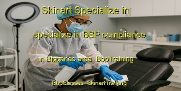 Skinart Specialize in specialize in BBP compliance in Bigganes area | BbpTraining | BbpClasses | SkinartTraining-Norway