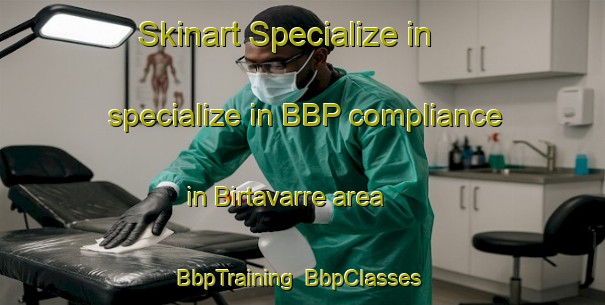 Skinart Specialize in specialize in BBP compliance in Birtavarre area | BbpTraining | BbpClasses | SkinartTraining-Norway