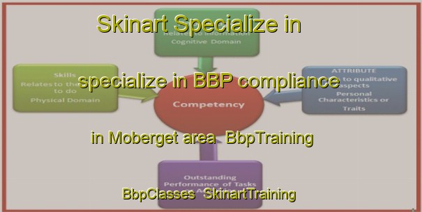 Skinart Specialize in specialize in BBP compliance in Moberget area | BbpTraining | BbpClasses | SkinartTraining-Norway