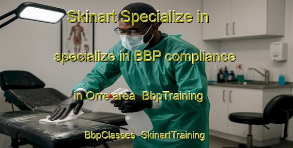 Skinart Specialize in specialize in BBP compliance in Orre area | BbpTraining | BbpClasses | SkinartTraining-Norway
