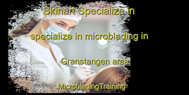 Skinart Specialize in specialize in microblading in Granstangen area | MicrobladingTraining | MicrobladingClasses | SkinartTraining-Norway