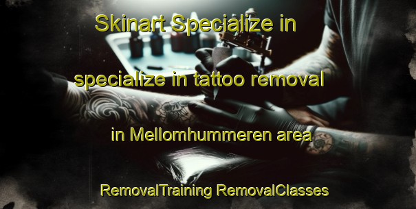 Skinart Specialize in specialize in tattoo removal in Mellomhummeren area | #RemovalTraining #RemovalClasses #SkinartTraining-Norway