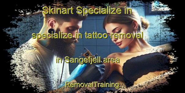 Skinart Specialize in specialize in tattoo removal in Sangefjell area | RemovalTraining | RemovalClasses | SkinartTraining-Norway