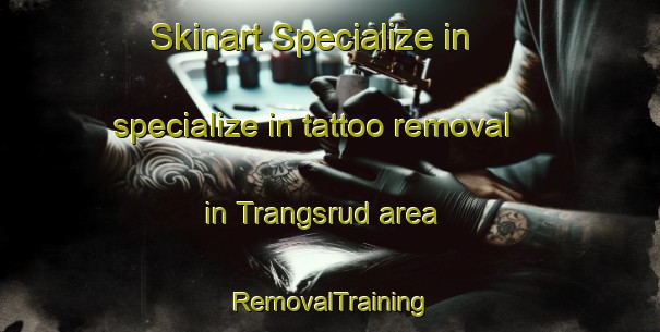 Skinart Specialize in specialize in tattoo removal in Trangsrud area | RemovalTraining | RemovalClasses | SkinartTraining-Norway