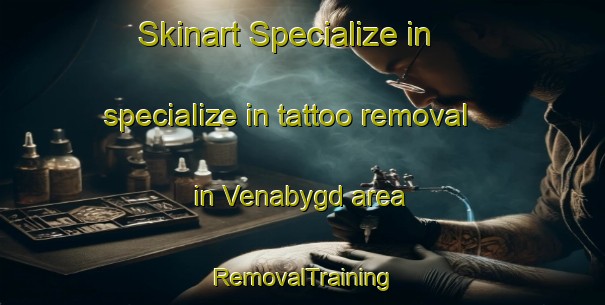 Skinart Specialize in specialize in tattoo removal in Venabygd area | RemovalTraining | RemovalClasses | SkinartTraining-Norway