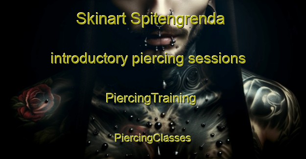 Skinart Spitengrenda introductory piercing sessions | #PiercingTraining #PiercingClasses #SkinartTraining-Norway