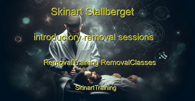 Skinart Stallberget introductory removal sessions | #RemovalTraining #RemovalClasses #SkinartTraining-Norway