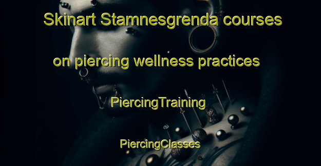 Skinart Stamnesgrenda courses on piercing wellness practices | #PiercingTraining #PiercingClasses #SkinartTraining-Norway