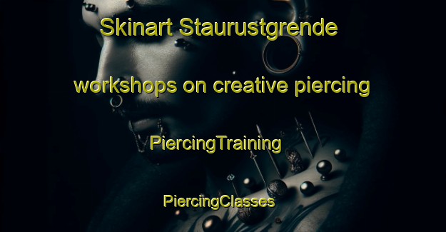Skinart Staurustgrende workshops on creative piercing | PiercingTraining | PiercingClasses | SkinartTraining-Norway