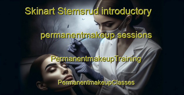 Skinart Stemsrud introductory permanentmakeup sessions | #PermanentmakeupTraining #PermanentmakeupClasses #SkinartTraining-Norway