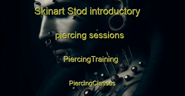 Skinart Stod introductory piercing sessions | #PiercingTraining #PiercingClasses #SkinartTraining-Norway