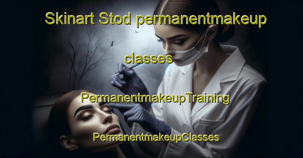 Skinart Stod permanentmakeup classes | PermanentmakeupTraining | PermanentmakeupClasses | SkinartTraining-Norway