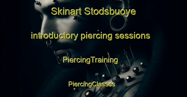 Skinart Stodsbuoye introductory piercing sessions | PiercingTraining | PiercingClasses | SkinartTraining-Norway