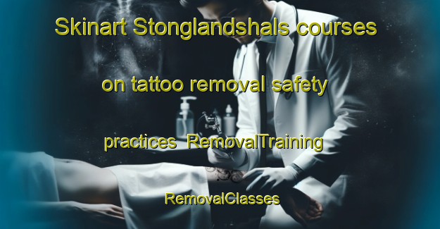 Skinart Stonglandshals courses on tattoo removal safety practices | RemovalTraining | RemovalClasses | SkinartTraining-Norway