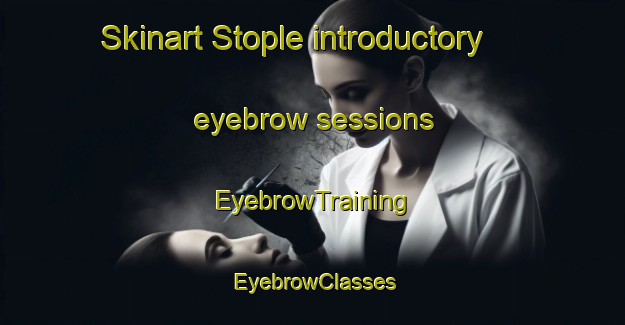 Skinart Stople introductory eyebrow sessions | EyebrowTraining | EyebrowClasses | SkinartTraining-Norway