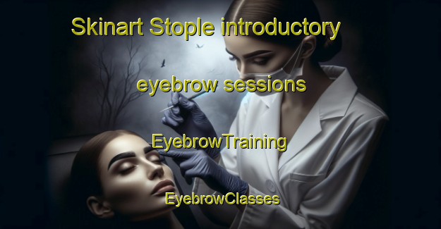 Skinart Stople introductory eyebrow sessions | EyebrowTraining | EyebrowClasses | SkinartTraining-Norway