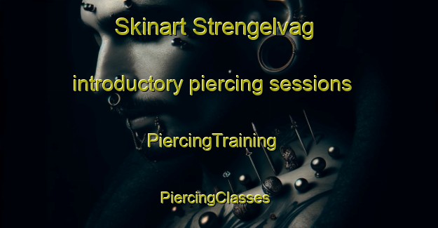 Skinart Strengelvag introductory piercing sessions | PiercingTraining | PiercingClasses | SkinartTraining-Norway