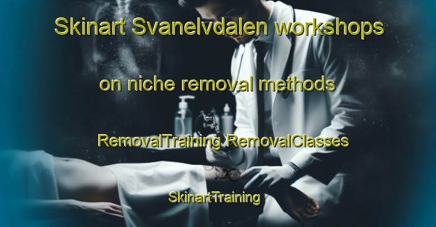 Skinart Svanelvdalen workshops on niche removal methods | #RemovalTraining #RemovalClasses #SkinartTraining-Norway