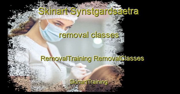 Skinart Synstgardsaetra removal classes | #RemovalTraining #RemovalClasses #SkinartTraining-Norway