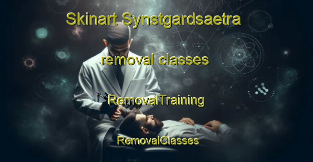 Skinart Synstgardsaetra removal classes | RemovalTraining | RemovalClasses | SkinartTraining-Norway