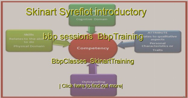 Skinart Syreflot introductory bbp sessions | BbpTraining | BbpClasses | SkinartTraining-Norway