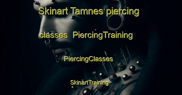 Skinart Tamnes piercing classes | PiercingTraining | PiercingClasses | SkinartTraining-Norway