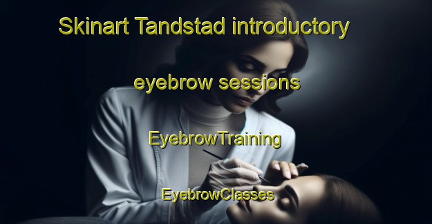 Skinart Tandstad introductory eyebrow sessions | EyebrowTraining | EyebrowClasses | SkinartTraining-Norway