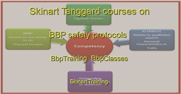 Skinart Tanggard courses on BBP safety protocols | BbpTraining | BbpClasses | SkinartTraining-Norway