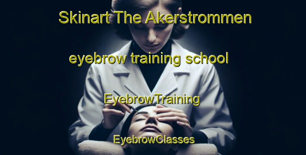 Skinart The Akerstrommen eyebrow training school | EyebrowTraining | EyebrowClasses | SkinartTraining-Norway