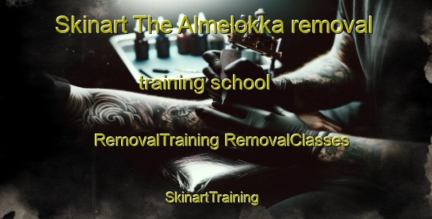 Skinart The Almelokka removal training school | #RemovalTraining #RemovalClasses #SkinartTraining-Norway