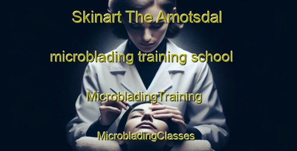 Skinart The Amotsdal microblading training school | MicrobladingTraining | MicrobladingClasses | SkinartTraining-Norway