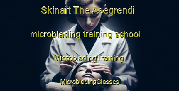 Skinart The Asegrendi microblading training school | #MicrobladingTraining #MicrobladingClasses #SkinartTraining-Norway