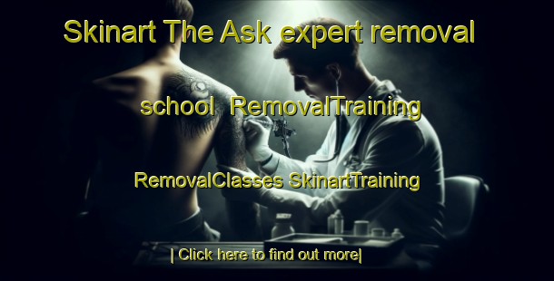 Skinart The Ask expert removal school | #RemovalTraining #RemovalClasses #SkinartTraining-Norway