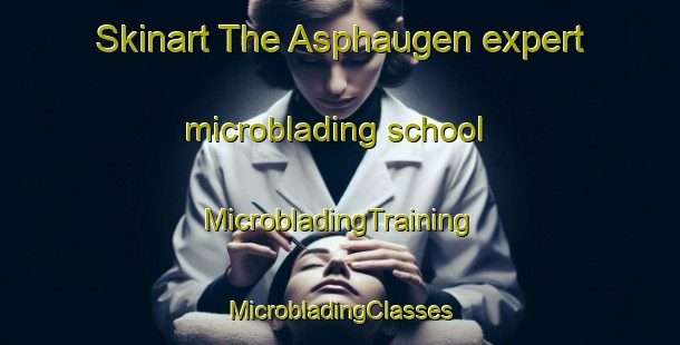 Skinart The Asphaugen expert microblading school | #MicrobladingTraining #MicrobladingClasses #SkinartTraining-Norway