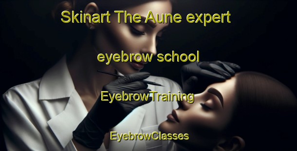 Skinart The Aune expert eyebrow school | EyebrowTraining | EyebrowClasses | SkinartTraining-Norway