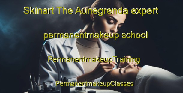 Skinart The Aunegrenda expert permanentmakeup school | PermanentmakeupTraining | PermanentmakeupClasses | SkinartTraining-Norway