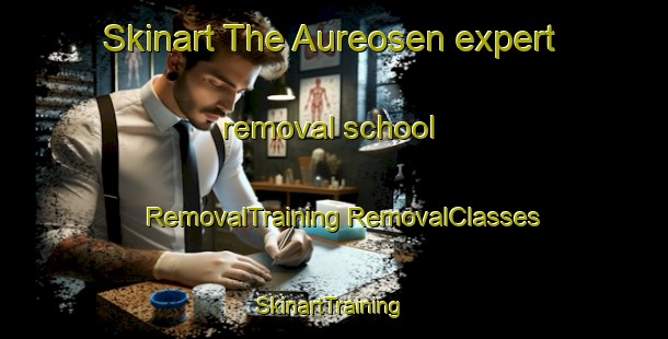 Skinart The Aureosen expert removal school | #RemovalTraining #RemovalClasses #SkinartTraining-Norway