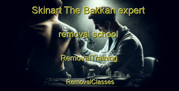 Skinart The Bakkan expert removal school | RemovalTraining | RemovalClasses | SkinartTraining-Norway
